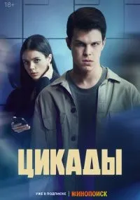 Цикады 1-8 серии смотреть онлайн